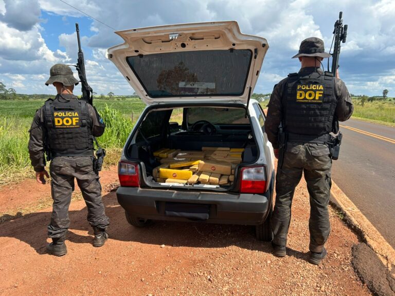 DOF apreende mais de 300 quilos de maconha em Ponta Porã