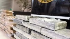 Polícia Civil causa prejuízo estimado em R$ 3 milhões ao tráfico com apreensão de 40,8 kg de cocaína