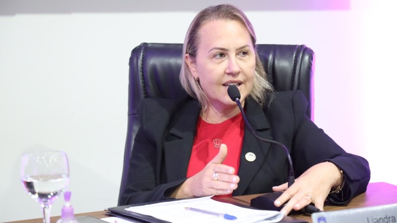 Liandra solicita obra de escoamento pluvial para o bairro Greenville