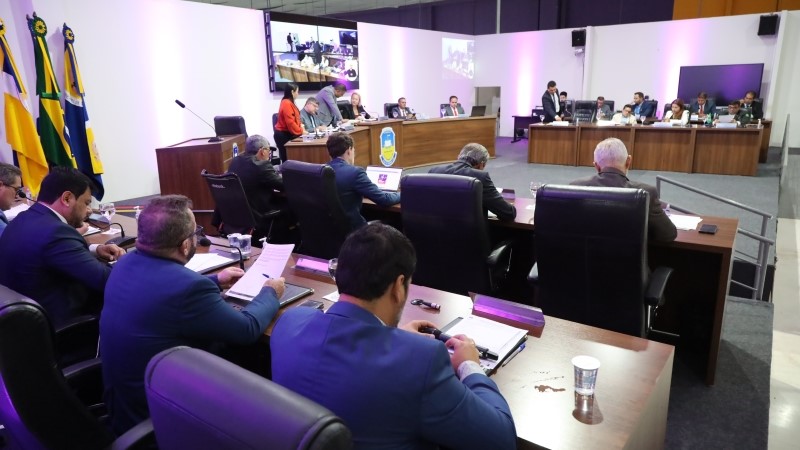 Câmara analisa projeto que reconhece trabalho de protetores de animais em Dourados