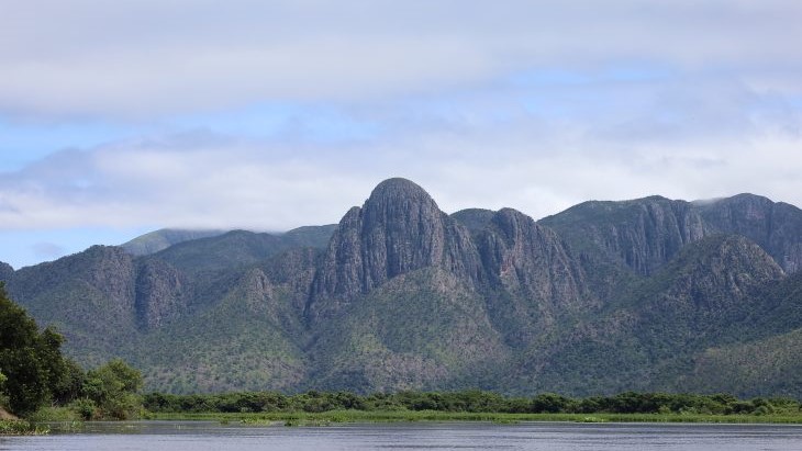 Para preservar o Pantanal, PSA Brigadas destinou mais de R$ 6,1 milhões para diferentes projetos sustentáveis