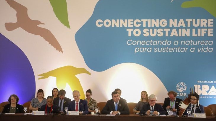 Com atuação para o desenvolvimento e conservação ambiental, MS sedia encontro de líderes globais que antecede COP15 Com atuação para o desenvolvimento e conservação ambiental, MS sedia encontro de líderes globais que antecede COP15