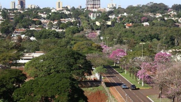 Dourados fica entre as 50 cidades mais arborizadas do Brasil em avaliação internacional