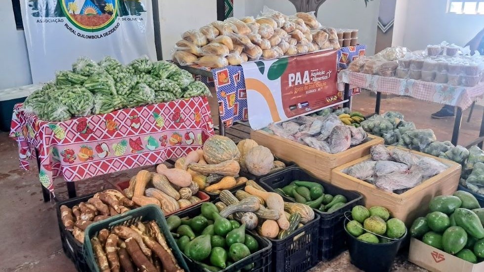 Indígenas e Quilombolas já receberam 76 toneladas de alimentos
