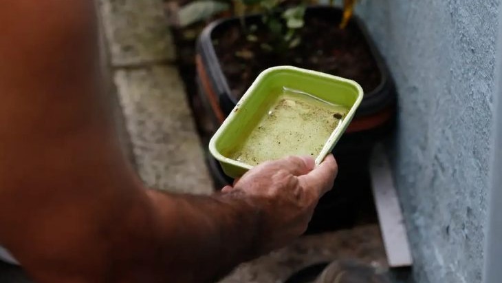 Estado articula para trazer vacina da chikungunya para MS e garante inclusão em estratégia piloto nacional Estado articula para trazer vacina da chikungunya para MS e garante inclusão em estratégia piloto nacional