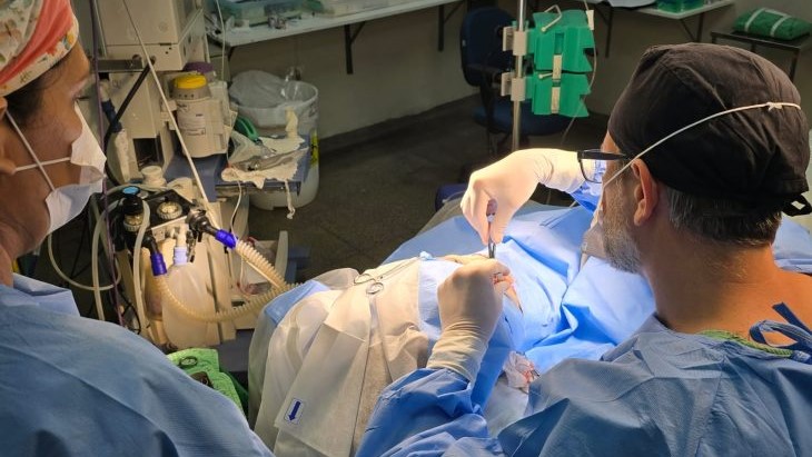 HRMS realiza cerca de 300 procedimentos durante Mutirão da Mulher e amplia acesso à saúde HRMS realiza cerca de 300 procedimentos durante Mutirão da Mulher e amplia acesso à saúde