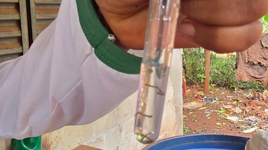 Dourados registra 1,8 mil casos prováveis de Chikungunya Dourados registra 1,8 mil casos prováveis de Chikungunya