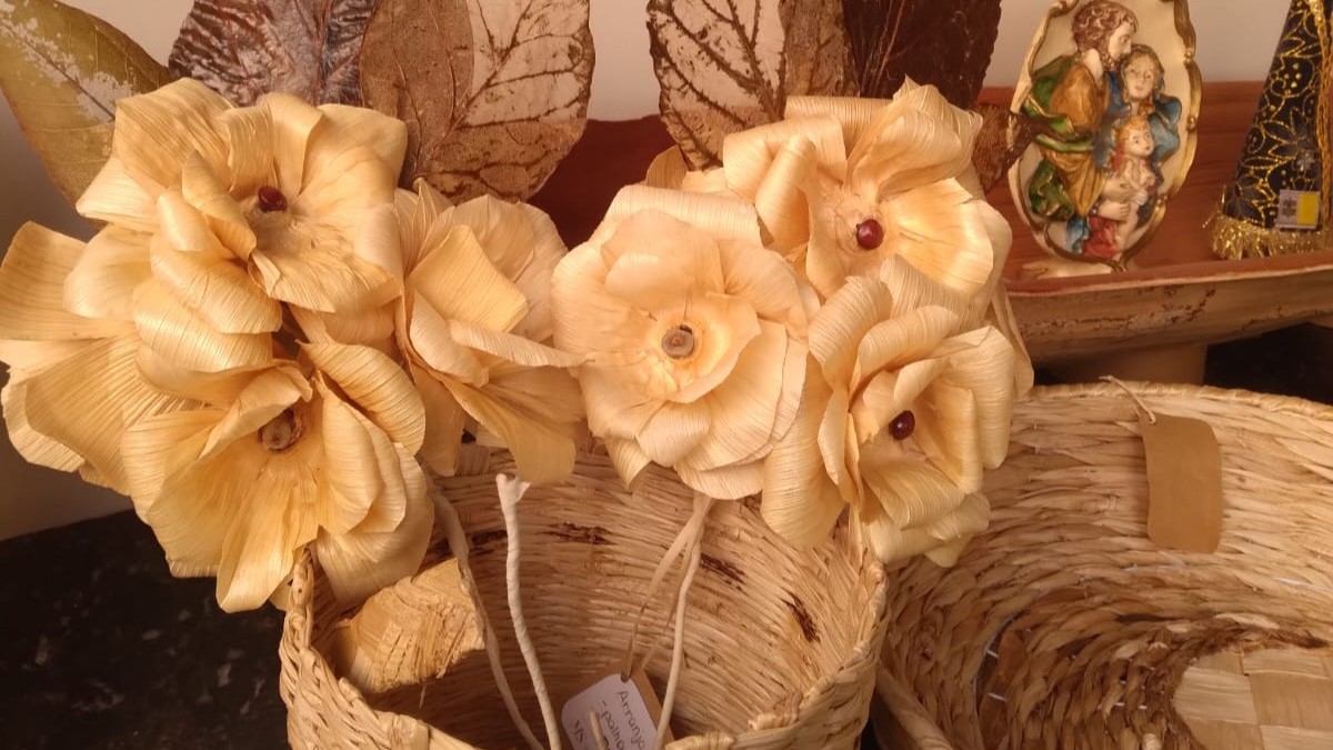 Zé Teixeira homenageia artesã que transforma fibras naturais em inclusão Zé Teixeira homenageia artesã que transforma fibras naturais em inclusão