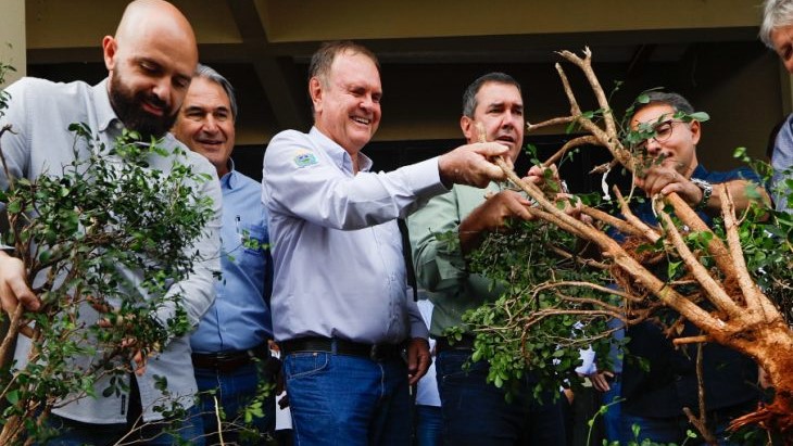 Para fortalecer cadeia produtiva da laranja, Riedel participa de remoção simbólica de murtas na Expogrande
