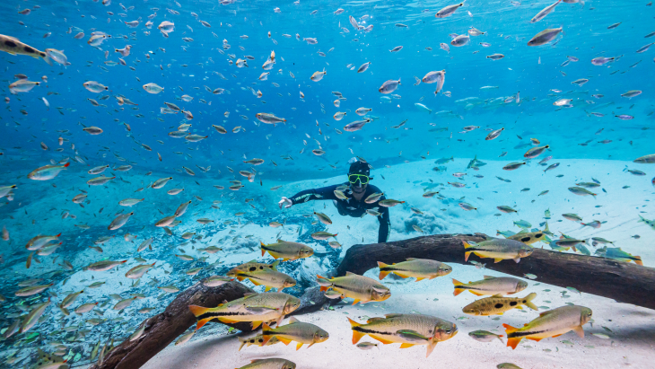Turismo de MS reforça protagonismo e é destaque nacional em três diferentes prêmios em março