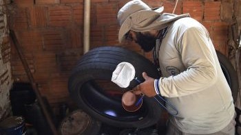 Chikungunya está presente em 76 dos 79 municípios de Mato Grosso do Sul
