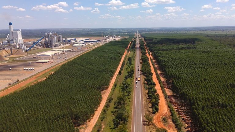 Com ambiente positivo de negócios, MS atrai novos grupos internacionais para investir no Vale da Celulose