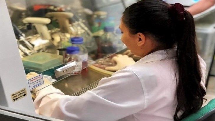 Centelha MS ganha novo prazo para inscrições de ideias inovadoras