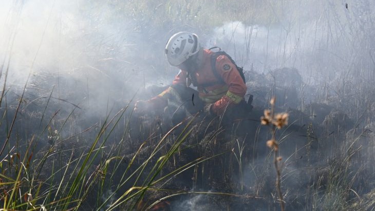 Decreto de emergência ambiental reforça preparação do Governo de MS para enfrentamento a incêndios florestais