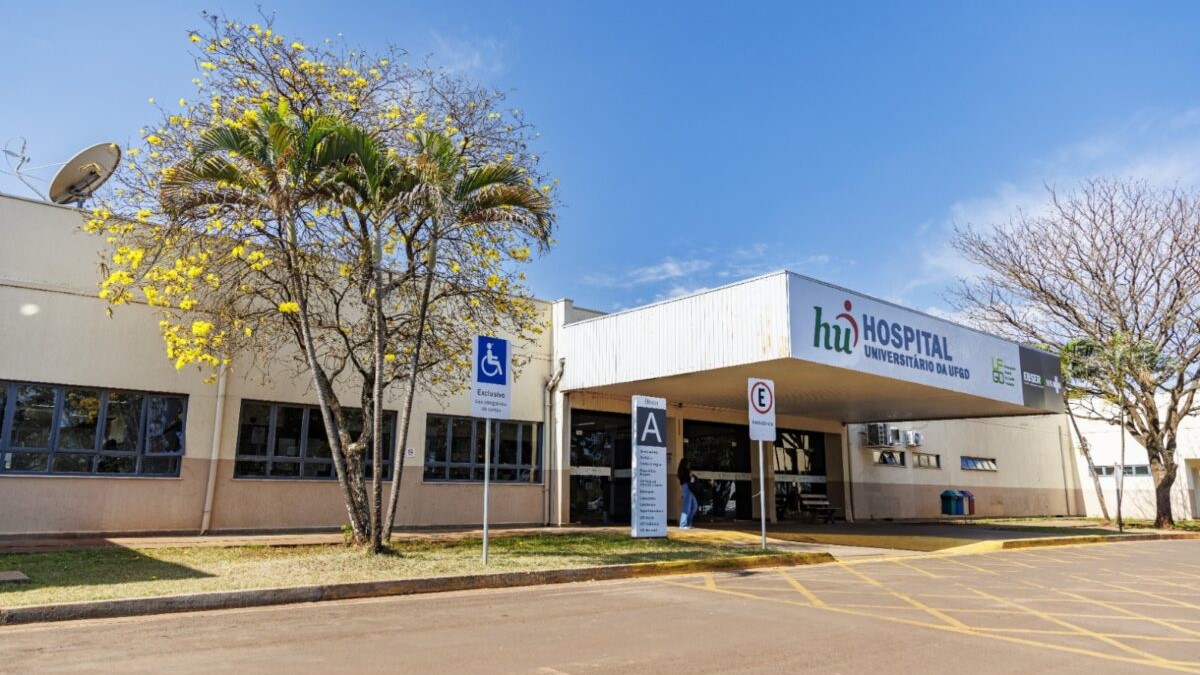 Epidemia desacelera e número de internados com Chikungunya atinge menor volume Epidemia desacelera e número de internados com Chikungunya atinge menor volume