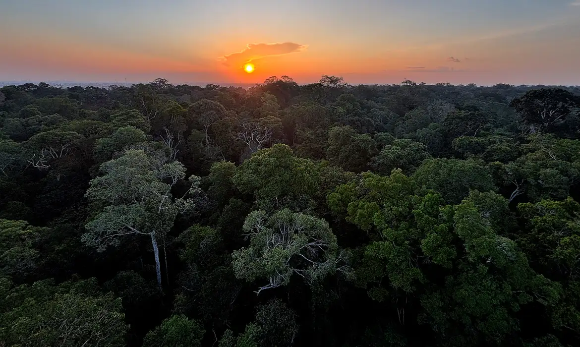 Dia Mundial do Meio Ambiente: decisões do STF fortalecem proteção ambiental no Brasil Dia Mundial do Meio Ambiente: decisões do STF fortalecem proteção ambiental no Brasil