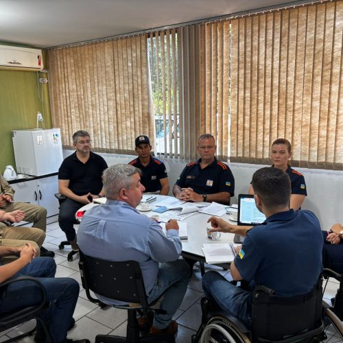 Organismos municipais e de segurança definem critérios  para atender chamados de remoção de árvores com mais agilidade em Dourados – Foto: A. Frota