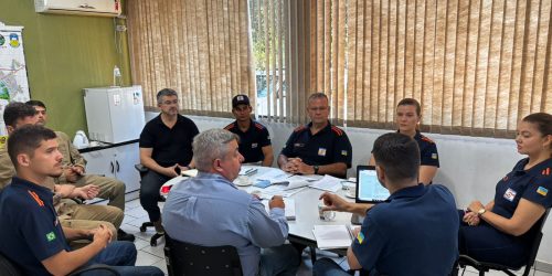 Organismos municipais e de segurança definem critérios  para atender chamados de remoção de árvores com mais agilidade em Dourados – Foto: A. Frota