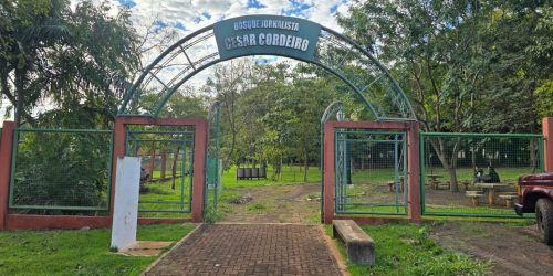 No sábado, a programação se volta à comunidade com a ação ECOmunitário, com plantio de árvores no bosque da feira – Foto: Assecom