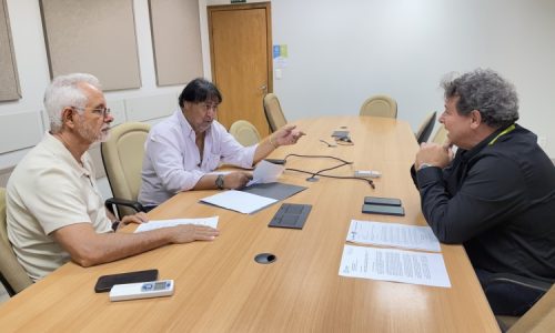Após reunião com a Energisa, Sergio Nogueira cobra estudo para solucionar quedas de energia