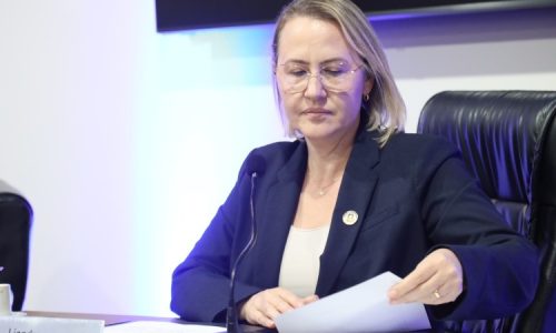 Liandra solicita serviço de drenagem no Vival dos Ipês