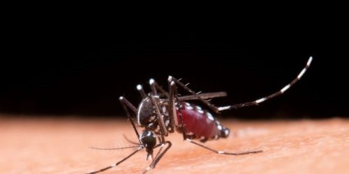 Foto: Banco de Imagem