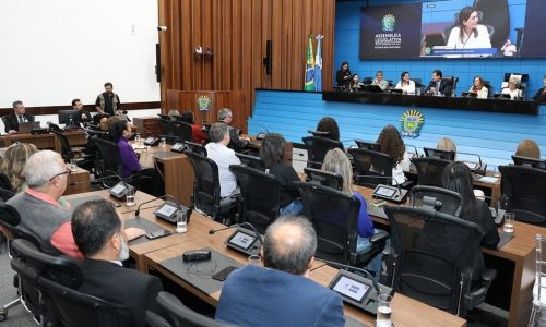 ALEMS sedia o 11º Seminário Estadual de Enfrentamento à Violência Contra a Pessoa Idosa