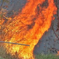 Foto: Divulgação da Assessoria do Corpo de BombeirosAgência ALEMS: https://al.ms.gov.br/Noticias/145682/fumaca-que-sufoca-estado-registra-uma-media-de-quase-seis-queimadas-urbanas-por