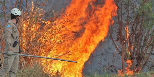 Foto: Divulgação da Assessoria do Corpo de BombeirosAgência ALEMS: https://al.ms.gov.br/Noticias/145682/fumaca-que-sufoca-estado-registra-uma-media-de-quase-seis-queimadas-urbanas-por