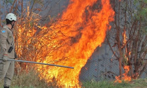 Foto: Divulgação da Assessoria do Corpo de BombeirosAgência ALEMS: https://al.ms.gov.br/Noticias/145682/fumaca-que-sufoca-estado-registra-uma-media-de-quase-seis-queimadas-urbanas-por