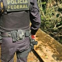 PF atua em ação integrada de combate ao desmatamento em terra indígena em MS