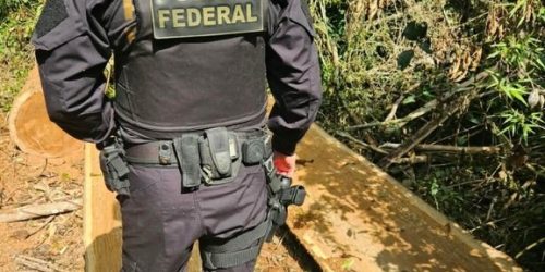 PF atua em ação integrada de combate ao desmatamento em terra indígena em MS