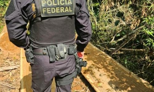 PF atua em ação integrada de combate ao desmatamento em terra indígena em MS