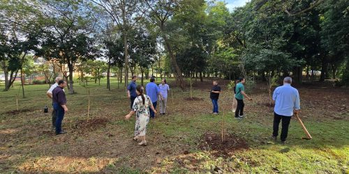 Plantio de árvores ocorreu em três espaços diferentes da feira Central de Dourados -Foto: Assecom