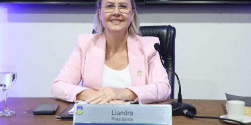 Liandra cobra reativação da iluminação do Douradão e reforço na segurança do Ceper do BNH 3º Plano