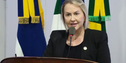 Liandra durante a 7ª sessão ordinária. (Foto: Valdenir Rodrigues)