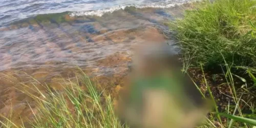 Foto: Da Hora Bataguassu