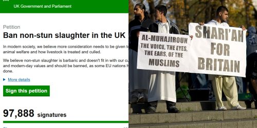 Reprodução / Redes Sociais