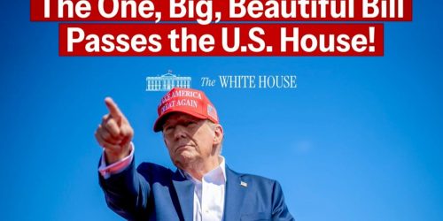 Reprodução / Redes Sociais