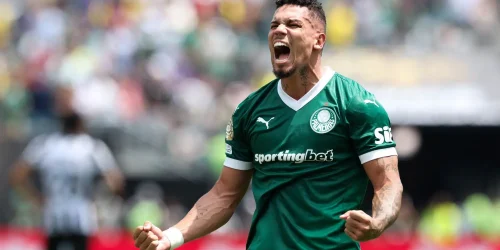 Cesar Greco / Palmeiras