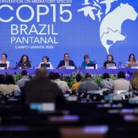 Foto: Ueslei Marcelino/MMA