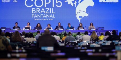 Foto: Ueslei Marcelino/MMA