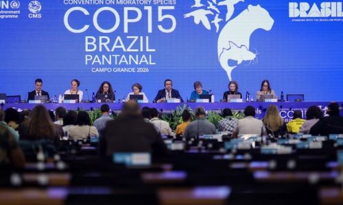 Foto: Ueslei Marcelino/MMA