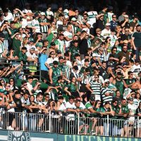 Torcida do Coritiba deve ter presença maciça no Couto Pereira, para jogo com o Bahia
Créditos: Gustavo Oliveira