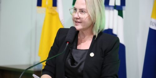 Liandra propõe criação de Frente Parlamentar de enfrentamento à exploração sexual contra mulheres