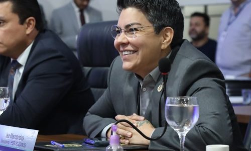 Divulgação