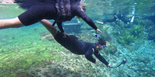 Foto @visitmsoficial