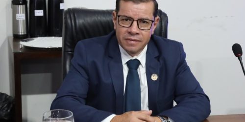 Pedro Pepa durante a 8ª sessão ordinária. (Foto: Valdenir Rodrigues)