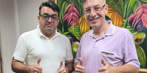 Divulgação