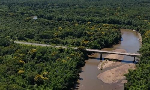Divulgação
